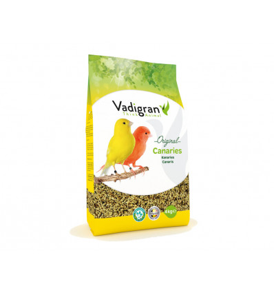 kanaries 4kg