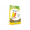 kanaries 4kg