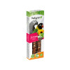 snack stixx parkiet&papegaai fruit 115g