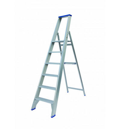 professionele trapladder/6treden