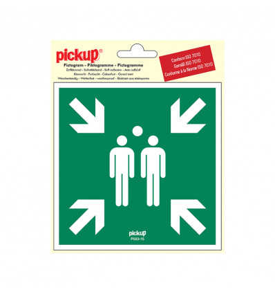 picto vinyl 15x15 verzamelplaats bij calamiteit