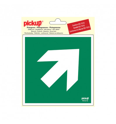 picto vinyl 15x15 richtingspijl 45