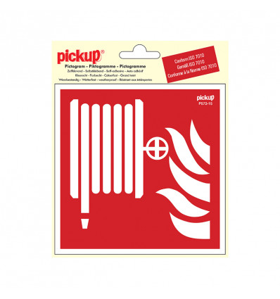 pictogram vinyl 15x15 blusslang