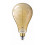 LED classic giant 40w e27 a160 gold dim