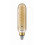 led classic giant 40w e27 t65 gold dim
