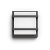petronia wall lantern antracite 1x12w