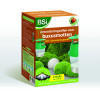 BSI Feromoonval Buxusmot Duopack