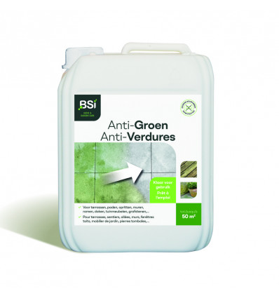 anti groene aanslag 5l