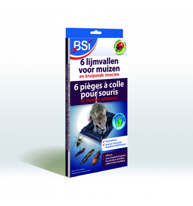 Lijmvallen voor muizen (6 st)