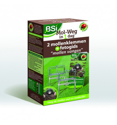Mol-weg in 1 dag