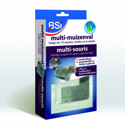 Multi-Muizenval