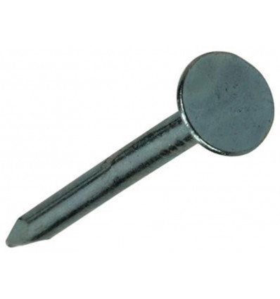 PLAFONDNAGEL STAAL VERZINKT 90 GR 2,0 X 25 MM