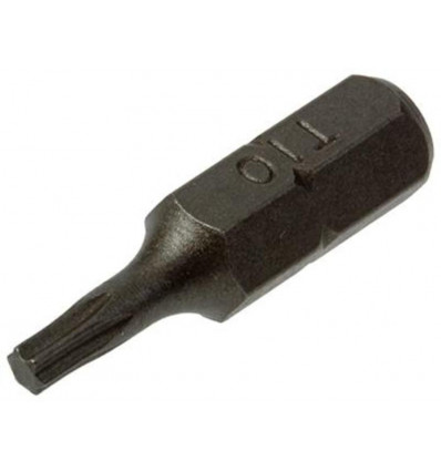 TORX SCHROEFBIT STAAL ONBEHANDELD 2 ST T 10
