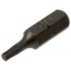 TORX SCHROEFBIT STAAL ONBEHANDELD 2 ST T 10