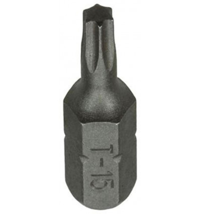 TORX SCHROEFBIT STAAL ONBEHANDELD 2 ST T 15