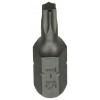 TORX SCHROEFBIT STAAL ONBEHANDELD 2 ST T 15