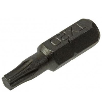 TORX SCHROEFBIT STAAL ONBEHANDELD 2 ST T 20
