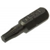 TORX SCHROEFBIT STAAL ONBEHANDELD 2 ST T 20