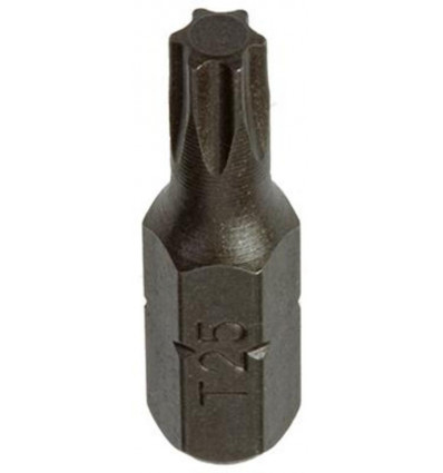 TORX SCHROEFBIT STAAL ONBEHANDELD 2 ST T 25