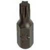 TORX SCHROEFBIT STAAL ONBEHANDELD 2 ST T 25