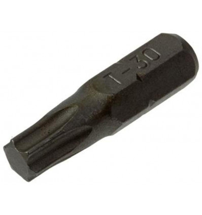 TORX SCHROEFBIT STAAL ONBEHANDELD 2 ST T 30