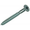 SCHROEF MET KOPBORING STAAL VERZ. 10 ST 4,5 X 45 MM