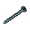 ZELFTAPPENDE SCHROEF CYL KOP VERZ. 9 ST 4,8 X 38 MM