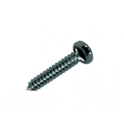 ZELFTAPPENDE SCHROEF CYLKOP VERZ. 42 ST 4,2 X 25 MM