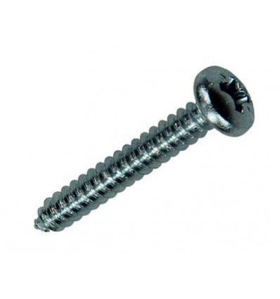 ZELFTAPPENDE SCHROEF CYLKOP VERZ. 17 ST 5,5 X 38 MM