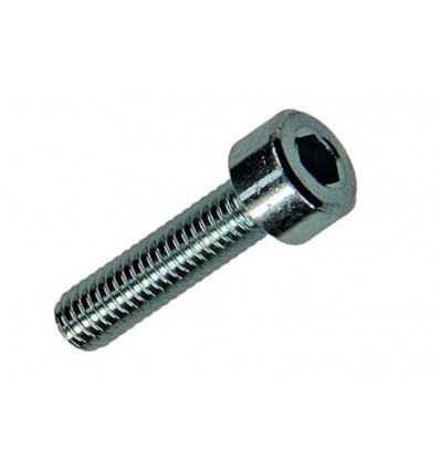 BINNENZESKANT BOUT CYL.KOP VERZ. 12 ST M4 X 16 MM