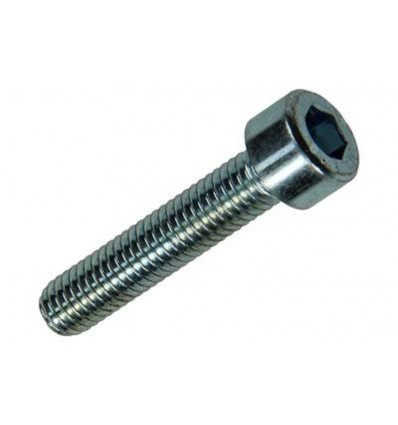 BINNENZESKANT BOUT CYL.KOP VERZ. 6 ST M6 X 30 MM