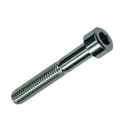 BINNENZESKANT BOUT CYL.KOP VERZ. 5 ST M6 X 40 MM