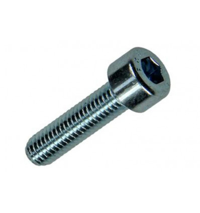 BINNENZESKANT BOUT CYL.KOP VERZ. 10 ST M5 X 20 MM