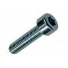 BINNENZESKANT BOUT CYL.KOP VERZ. 10 ST M5 X 20 MM