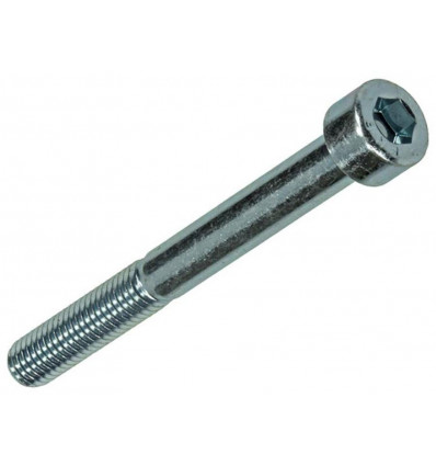 BINNENZESKANT BOUT CYL.KOP VERZ. 4 ST M6 X 60 MM