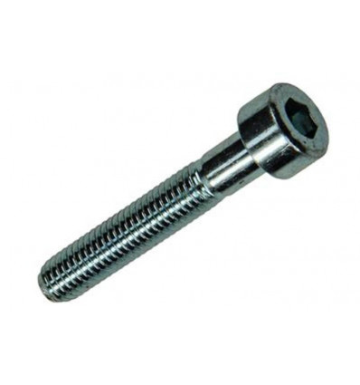 BINNENZESKANT BOUT CYL.KOP VERZ. 8 ST M5 X 30 MM