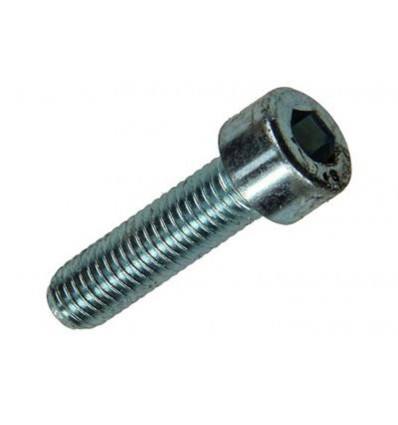 BINNENZESKANT BOUT CYL.KOP VERZ. 4 ST M8 X 30 MM