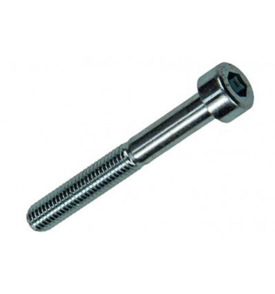 BINNENZESKANT BOUT CYL.KOP VERZ. 7 ST M5 X 40 MM