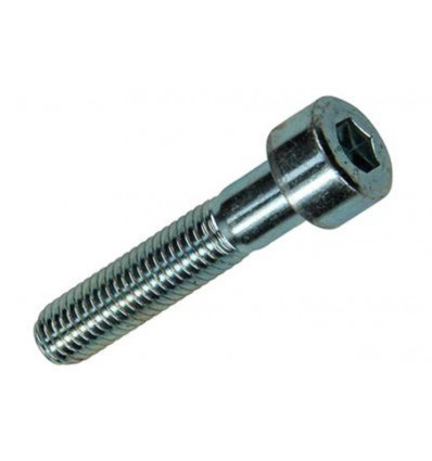BINNENZESKANT BOUT CYL.KOP VERZ. 3 ST M8 X 40 MM