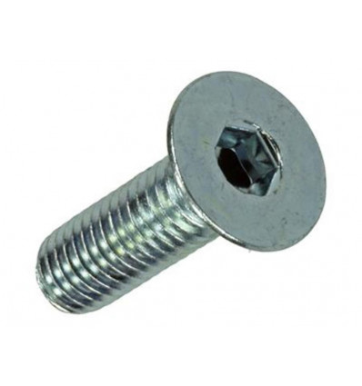 BINNENZESKANT BOUT VERZ. KOP VERZ. 7 ST M6X20
