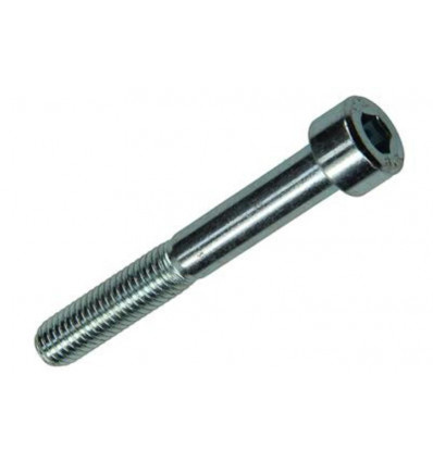 BINNENZESKANT BOUT CYL.KOP VERZ. 3 ST M8 X 60 MM