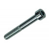 BINNENZESKANT BOUT CYL.KOP VERZ. 3 ST M8 X 60 MM