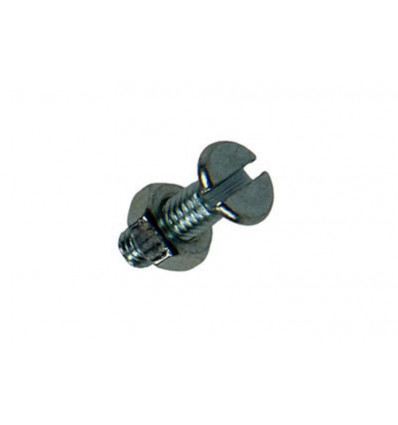 METAALSCHROEF VERZ. KOP+MOER VERZ. 30ST M3 X 10 MM