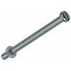 METAALSCHROEF CYL. KOP+MOER VERZ. 6 ST M5 X 60 MM