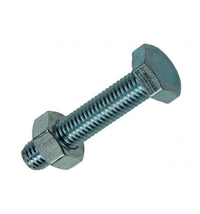 TAPBOUT + MOER STAAL VERZINKT 2 ST M10 X 50 MM