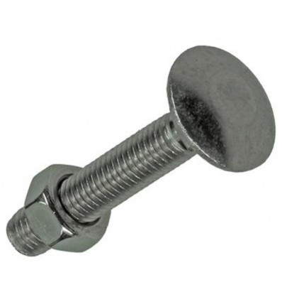 HOUTBOUT+MOER ROESTVRIJSTAAL 6 ST M5X30 MM