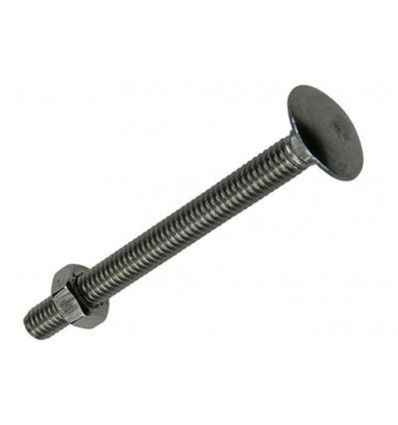 HOUTBOUT+MOER ROESTVRIJSTAAL 2 ST M6 X 60 MM