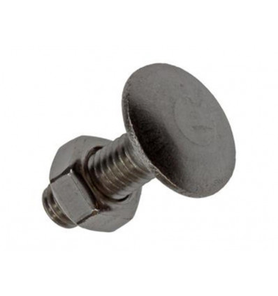 HOUTBOUT+MOER ROESTVRIJSTAAL 6 ST M6X20 MM