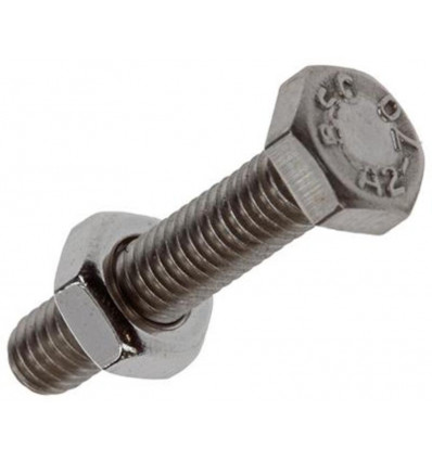 TAPBOUT+MOER ROESTVRIJSTAAL 10 ST M4X20