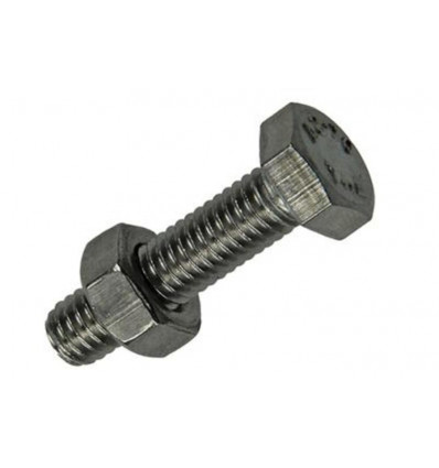 TAPBOUT+MOER ROESTVRIJSTAAL 5 ST M6X25